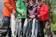Kenai River Salmon Fishing Full Day Charter thumbnail 6