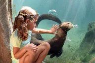 Miami Zoo Admission Ticket thumbnail 5