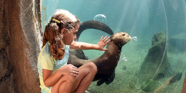 Miami Zoo Admission Ticket - Image 5