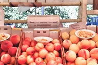 Portland Multnomah Falls Train Ride & Wine Tour thumbnail 2