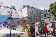Miami Wynwood Walking Tour thumbnail 6