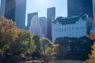 New York Central Park Pedicab Tour 2 hr thumbnail 5