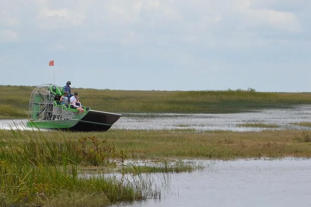 Miami Everglades Airboat Ride 90 Min - Image 4