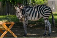 Long Island Farm & WildPlay Jones Beach Tour thumbnail 2