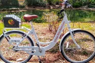 The Villages Bicycle Rental with Free Delivery thumbnail 4