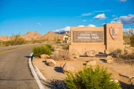 Joshua Tree Audio Tour Hidden Valley Trail thumbnail 6