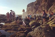 Dana Point Sea Cave Tide Pool Walk thumbnail 6