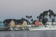 Marina del Rey Picnic Cruise with Sea Lions 1.5 hr thumbnail 5