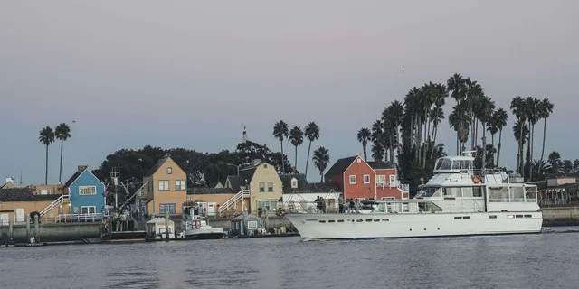 Marina del Rey Picnic Cruise with Sea Lions 1.5 hr - Image 5