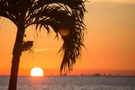 Miami Key West Bus & Boat Combo Tour thumbnail 3
