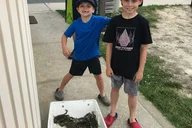 Ocean City Crabbing Experience thumbnail 4