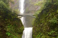 Portland Mt Hood & Columbia River Gorge Waterfalls Tour thumbnail 3