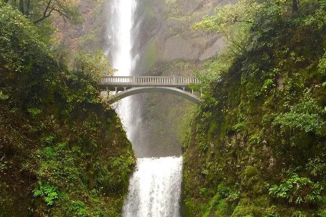 Portland Mt Hood & Columbia River Gorge Waterfalls Tour - Image 3