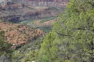 Chrysotile Off-Road Adventure Tour thumbnail 5