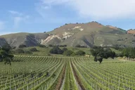 Santa Barbara Afternoon Winery Tour thumbnail 2