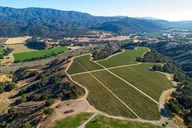 Santa Ynez Vineyard Tour and Wine Tasting thumbnail 3