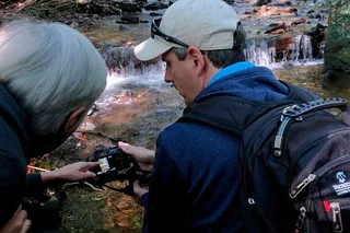 Vistas & Waterfall Photography Tour in Asheville