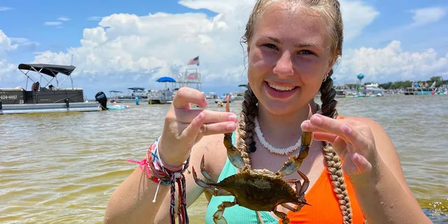 Destin Crab Island Excursion - Image 5