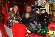 New York City Christmas Lights Carriage Ride thumbnail 5