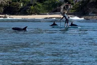 Laguna Beach Stand Up Paddle Activity 90 min thumbnail 1