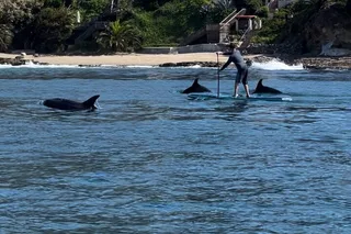 Laguna Beach Stand Up Paddle Activity 90 min