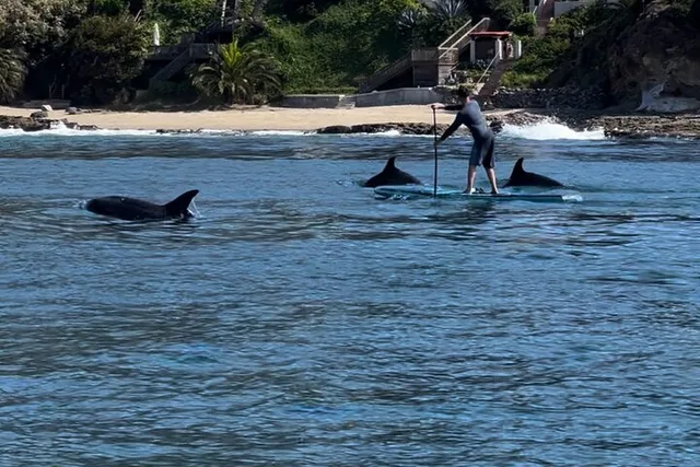 Laguna Beach Stand Up Paddle Activity 90 min - Image 1