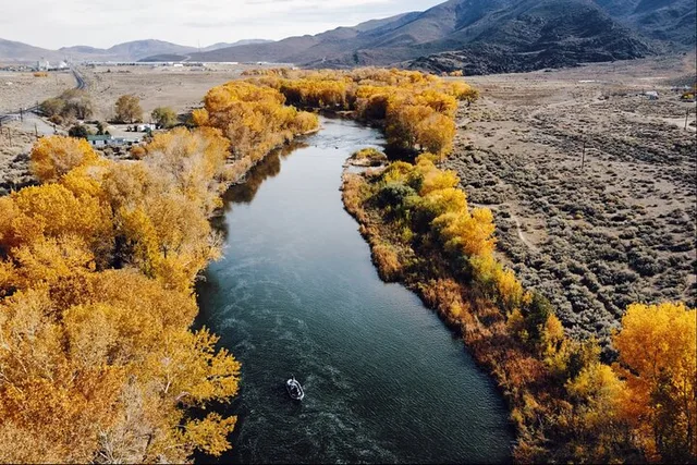 Truckee River Fly Fishing Experience - Image 4
