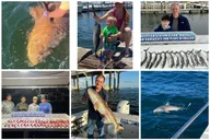 Destin Fishing Charter Experience thumbnail 3