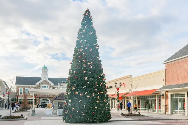 Philadelphia Shopping Tour to Gloucester Outlets - Image 2