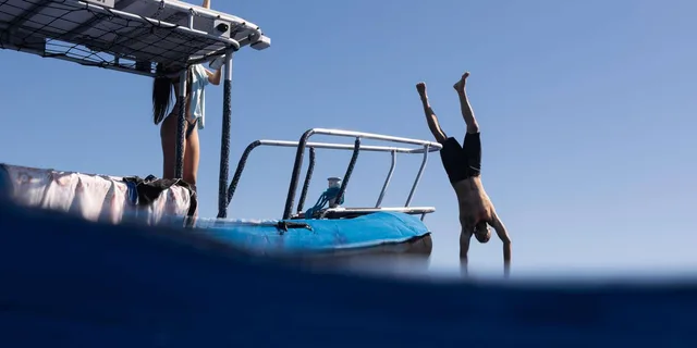 Kona Ocean Safari and Snorkel - Image 4