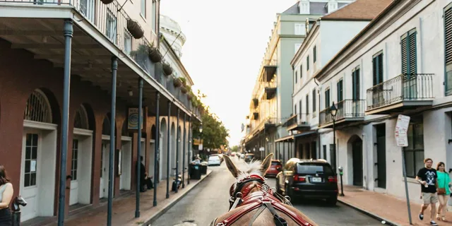 New Orleans French Quarter Carriage Ride - Image 6