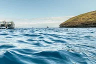 Maui Snorkeling Tour to Molokini and Turtle Town thumbnail 2