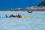 Juneau Paddle with Whales Kayak Adventure thumbnail 1