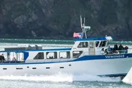 Seward Kenai Fjords National Park Cruise 8 hr thumbnail 2