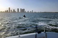 Miami Water Adventure with Drinks and Jet Skis thumbnail 5