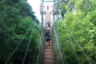 Maui Dual-Zipline Mountain Adventure thumbnail 5