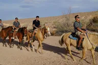 Las Vegas Horseback Riding Tour with BBQ Lunch thumbnail 6