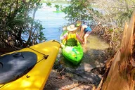 Venice Kayak Tour thumbnail 5