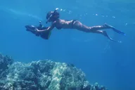 Lanai Snorkeling Tour with Sea Scooter thumbnail 4