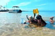 Panama City Dolphin Watching and Snorkeling Tour thumbnail 2