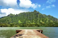 Kaneohe Kualoa Ranch Grown Tour thumbnail 3