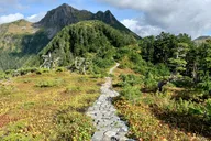 Sitka Hiking Tour thumbnail 3