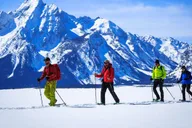 Grand Teton Snowshoe Tour 4 hr thumbnail 1