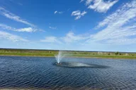 Kissimmee Lakefront Mountain Bike Tour 2 hr thumbnail 2
