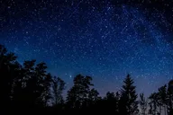 Sequoia National Park Stargazing Tour thumbnail 1