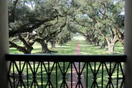New Orleans Oak Alley Plantation Tour thumbnail 2