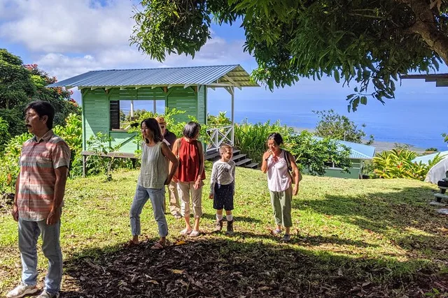 Hawaii Hala Tree Coffee Farm Tour 1 hr - Image 6
