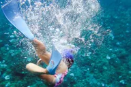 Maui Snorkeling Adventure at Molokini and Turtle Sites thumbnail 4