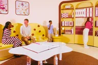 Boston Museum of Ice Cream Entry thumbnail 3