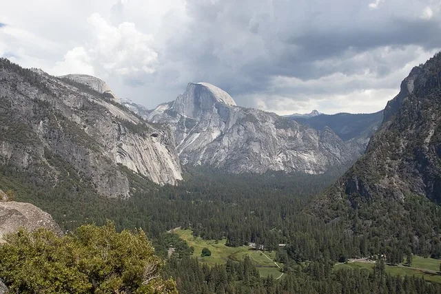 Yosemite Giant Sequoia Grove Hike - Image 5